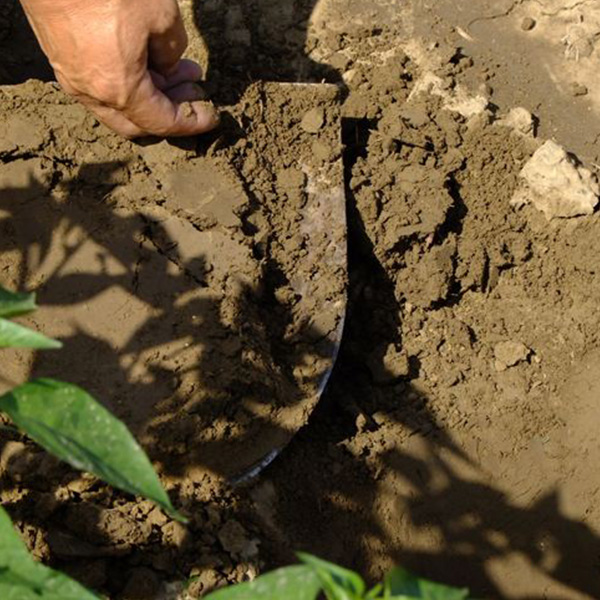 土壤和水系沉积物检测